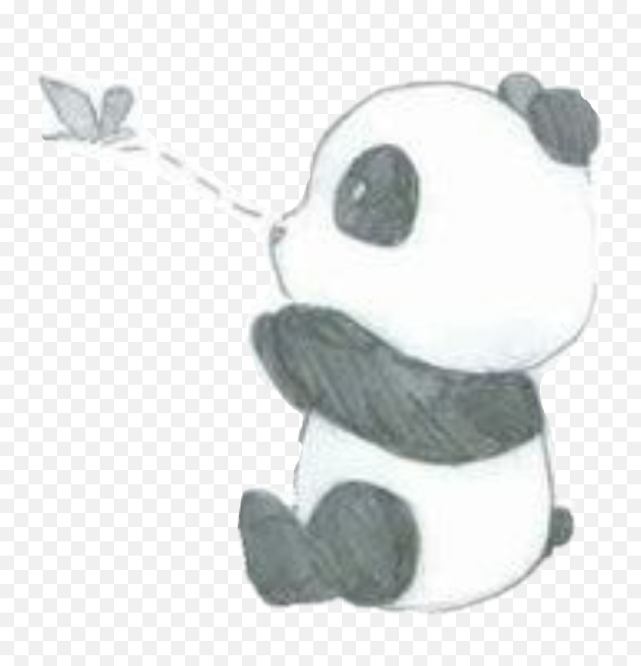 Cute Panda Tumblr Pintrest Sticker By Verenapjatko - Easy Sketches Of Panda Emoji,Emoji Backgrounds On Pintrest