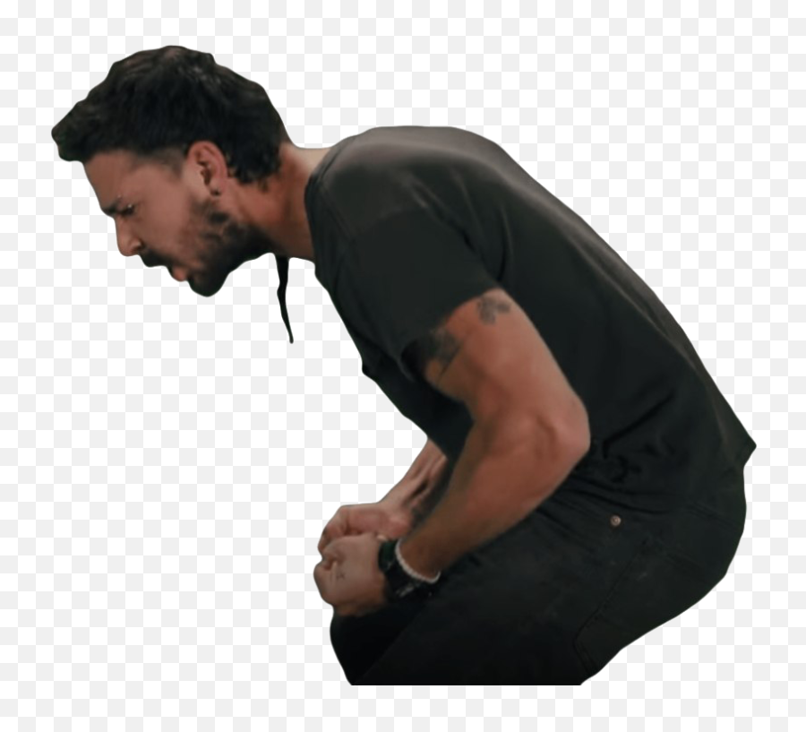 Shia Labeouf Png Transparent Images - Shia Labeouf Png Emoji,Shia Le Bouf Emoji'