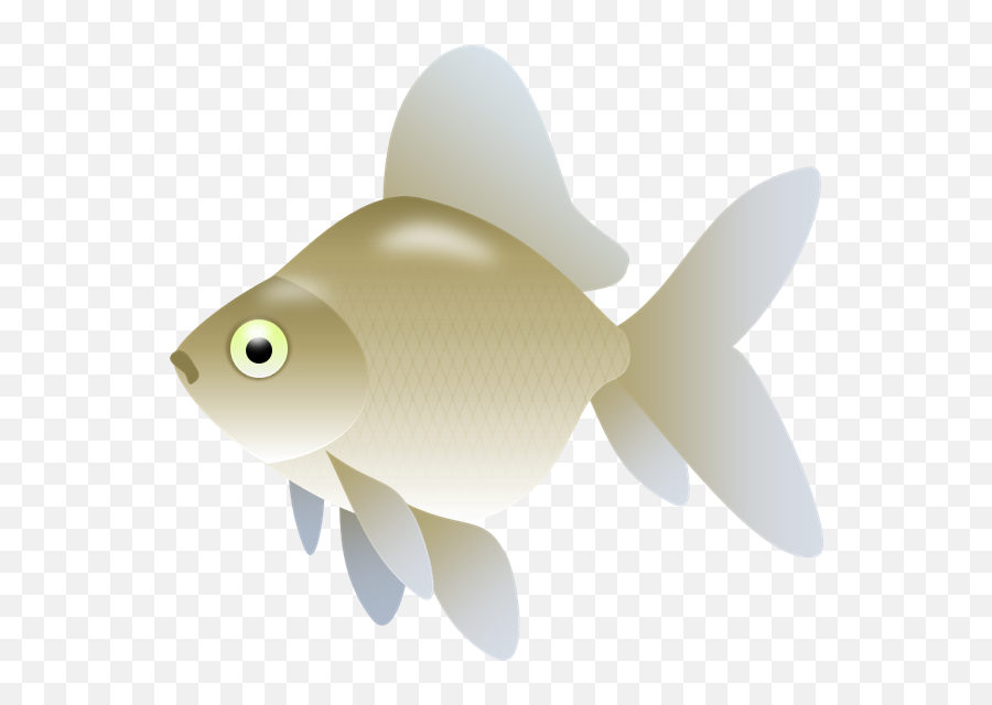 Emoji,Fishl Emojis Emoji,Fishl Emojis