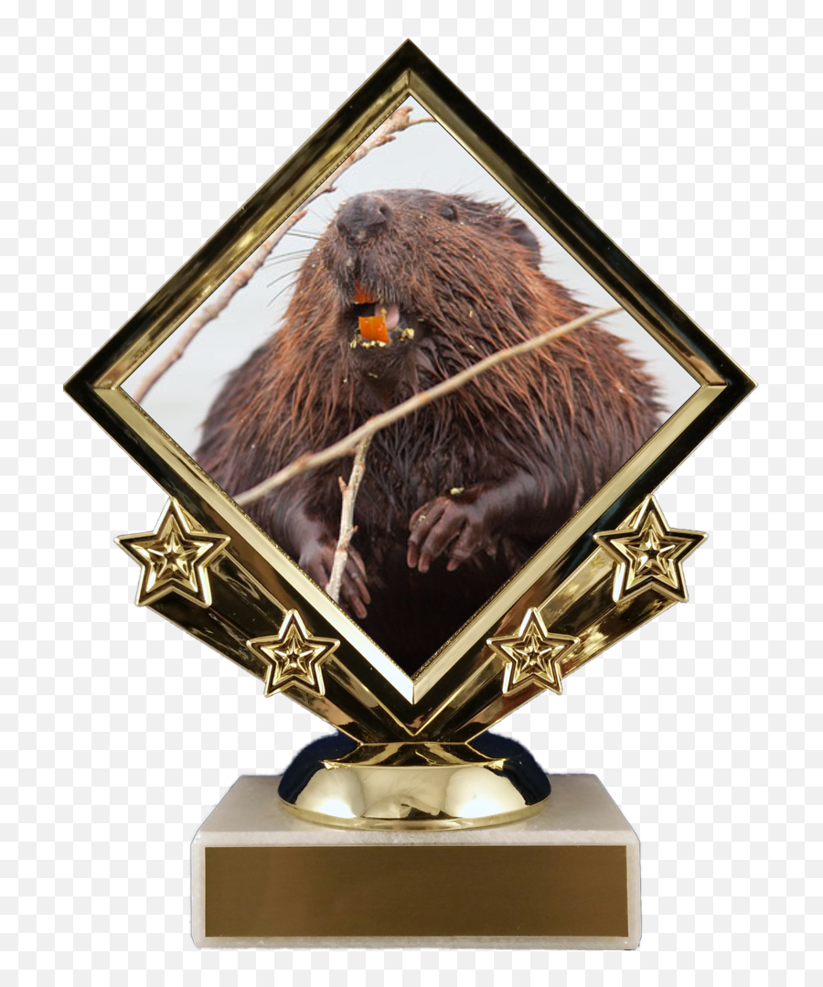 Beaver - Christmas Pickle Trophy Emoji,Beaver Emoji