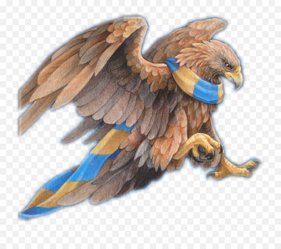 Ravenclaw Freetoedit 231735729014211 By Andre1222 Emoji,Hawk Emojio