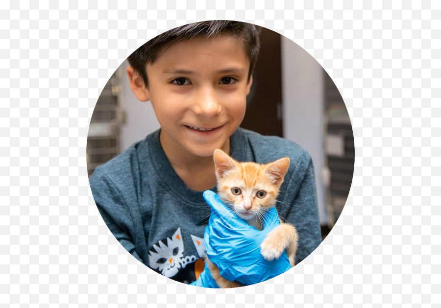 Homepage Best Friends Animal Society - Save Them All Emoji,:waf: Cat Emoji