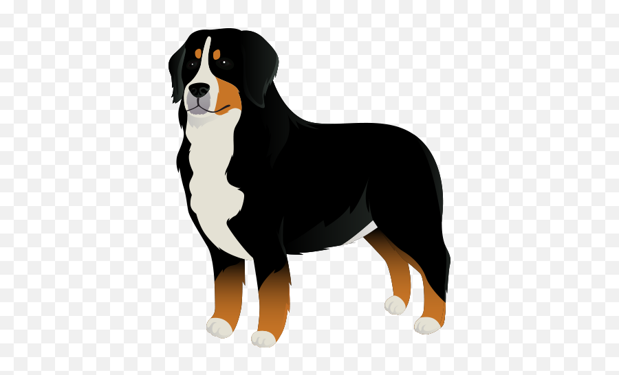 Hanodu Polafe - Vulnerable Native Breeds Emoji,Bernese Mountain Dog Emoji