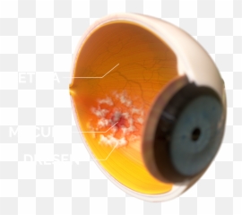 A - Macro Photography Emoji,Medscape Mayo Clinic Emojis