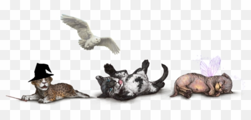 Den Lioden - Falconiformes Emoji,Xanje Emoticons