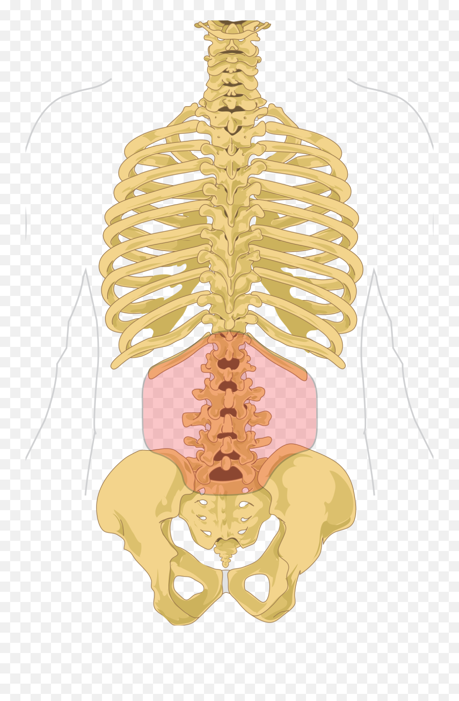 Low Back Pain - Lower Back Emoji,What Emotion Is Connected To Lower Back Pain