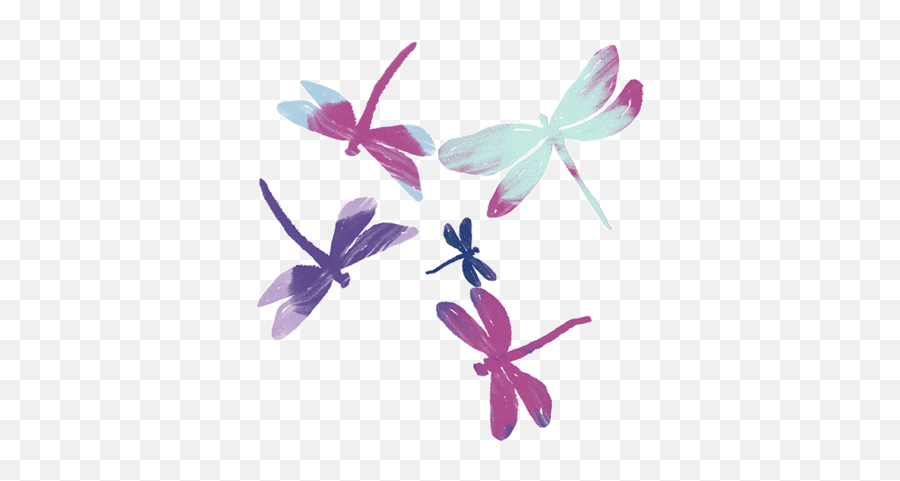 Creepy Crawly Theme Baamboozle - Girly Emoji,Dragonfly Emojis