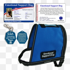 Emotional Support Dog Starter Kit Activedogscom - Handbag Style Emoji,Emotion Chart Using Dogs