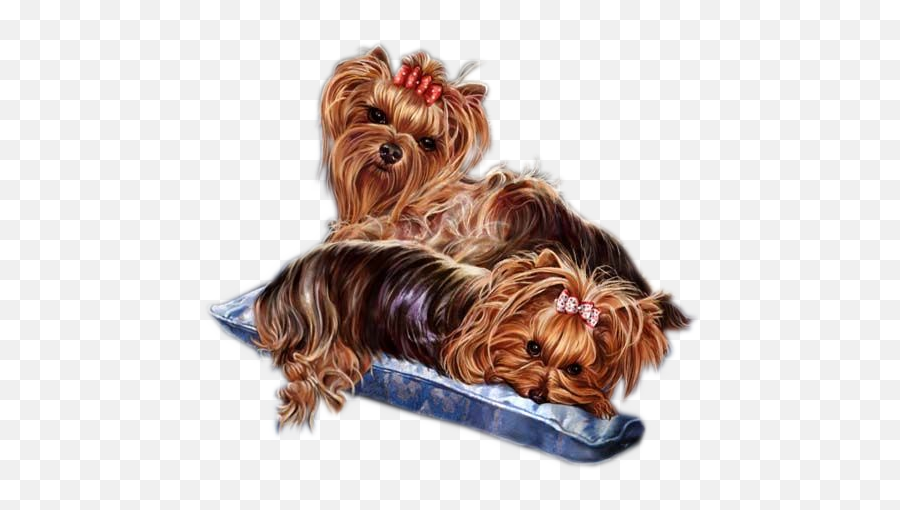 Free Yorkie Cliparts Png Images - Yorkshire Terriers Png Emoji,Yorkie Emojis