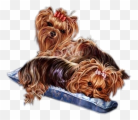Free Yorkie Cliparts Png Images - Yorkshire Terriers Png Emoji,Yorkie Emojis