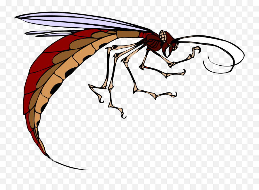 Scary Insect Drawing Free Image Download - Anime Mosquitop Png Emoji,Emoji Teeth Smiledrawing