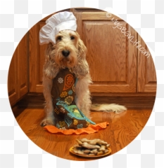 Simple Pumpkin Cookies And A Baking Calendarmy Gbgv Life Emoji,Birthday Emoticons For Bassets