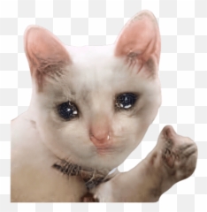 Gato Llorando Png Emoji,Yamero Emoji Gif