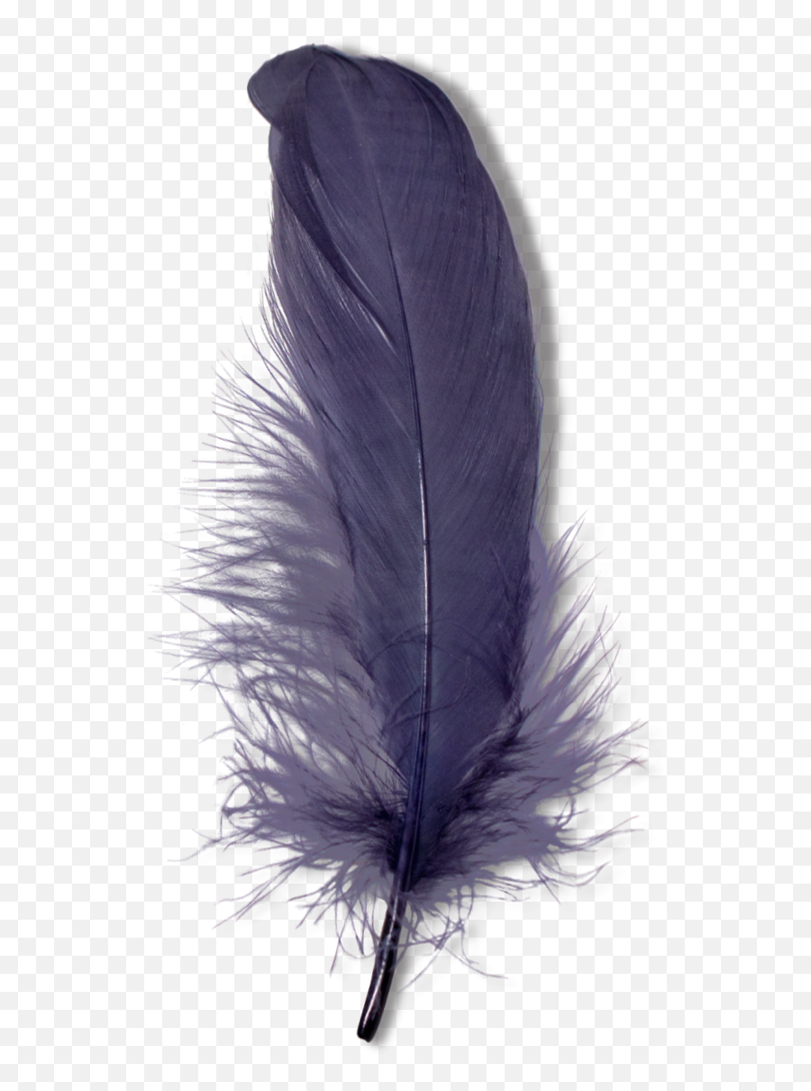 The Newest Lovey Stickers On Picsart Emoji,Feather Quill Emoji