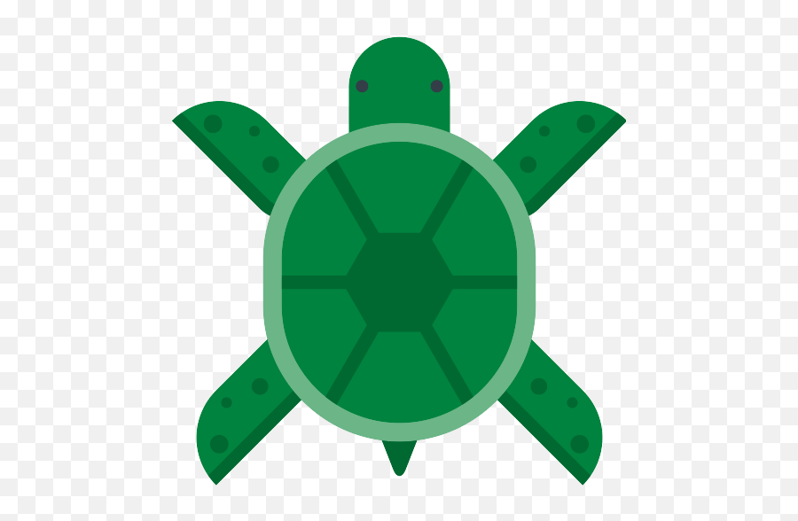 Turtle Vector Svg Icon 33 - Png Repo Free Png Icons Emoji,Turtle Head Emoji
