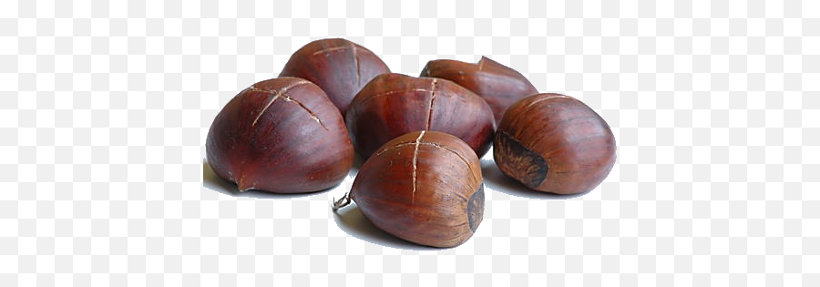 Chestnut Transparent Image Png Arts Emoji,Chestnut Emoji