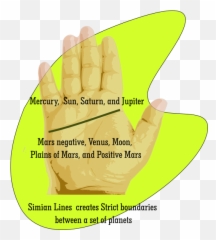 Simian Line In Palmistry - Comparison Analysis Palmist Manish Emoji,Heart Line Emoticon