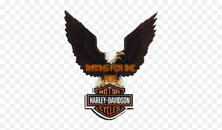 Harley Hump Day Quotes Quotesgram - Harley Davidson Cornhole Decals Emoji,Hump Day Emoticon