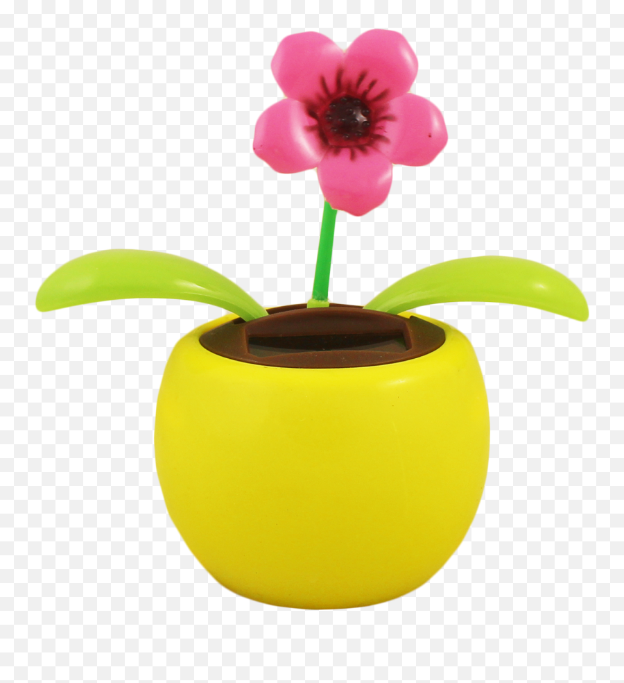 Eureka 2 Assorted Solar Dancing Flowers - Poppy Anemone Emoji,Eureka Emoji