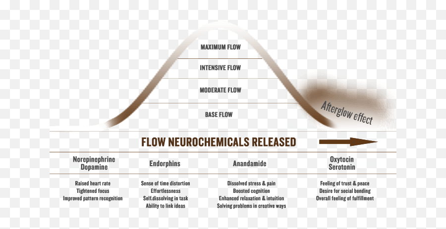 Hidi Yoga Center - Vertical Emoji,Physiological Effects Of Emotions