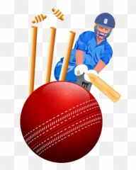 Cricket Sticker Packs - Wastickerapps App Su Google Play Cricketer Emoji,Cricket Emoji For Android
