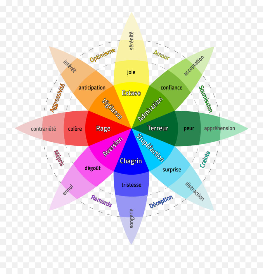 A La Découverte De Lanalyse De Sentiment - Language Emoji,Vocabulaire Emotions Sentiments