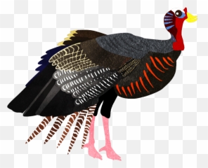 A Woman Holding A Turkey - Wild Turkey Emoji,Turkey And Pie Emoji