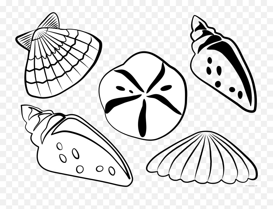 Sea Shells Printable Coloring4free - Outline Sea Shells Clip Art Emoji,Seashell Emoji