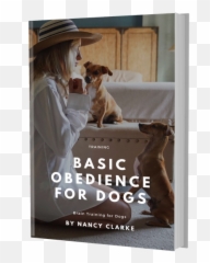 What Are The Best Dog Training Treats Emoji,Dogs Display Human Emotions