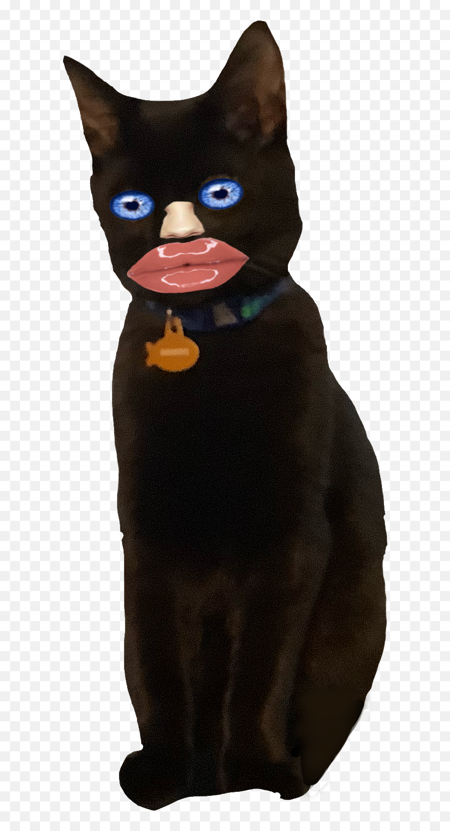 Popular And Trending Smellycat Stickers Picsart - Black Cat Emoji,Black Cat Emoticon Deviantart