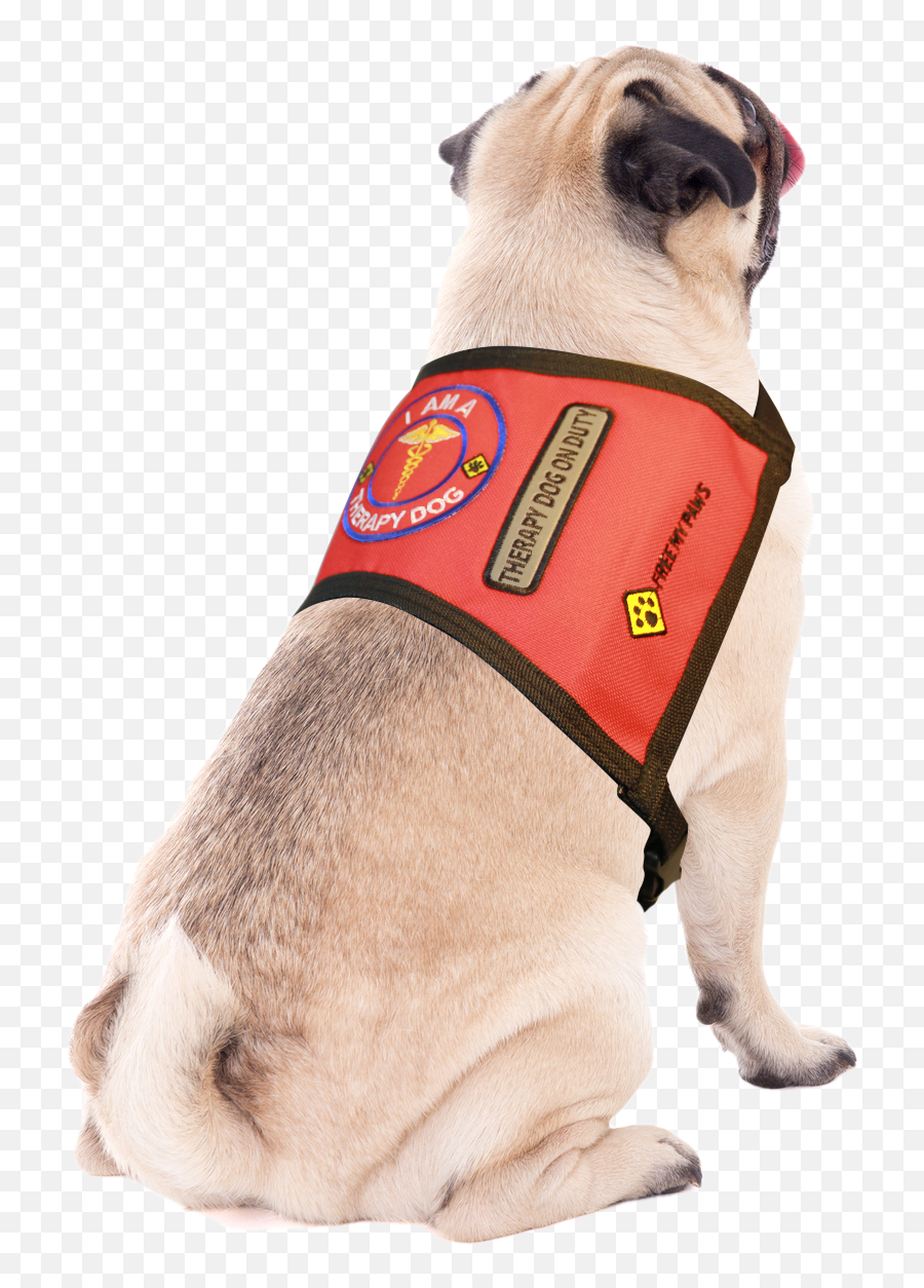 Red Vest Patches - Dog Clothes Emoji,Emotion Chart Using Dogs