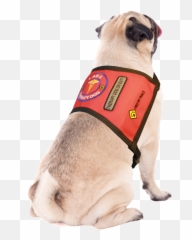 Red Vest Patches - Dog Clothes Emoji,Emotion Chart Using Dogs