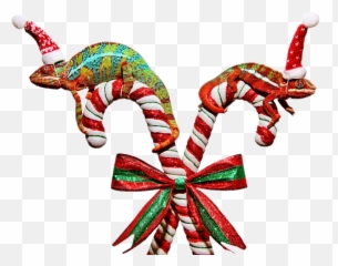 Sccandycane Candycane Sticker - Santa Chameleon Emoji,Candycane Emoji