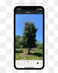 Apple Pencil And Scribble - User Interaction Ios Human Emoji,Human Emotion Tree Art Design Art Canvas