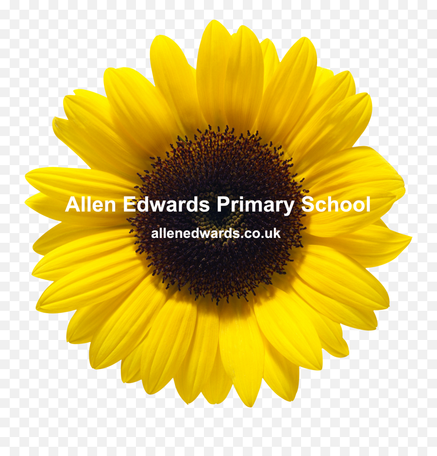Autism Base Allen Edwards Primary School England Emoji,Using Lego And Other Visual Supports To Help Autistic Children Understand Emotions