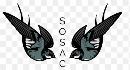 Cork Wedding Photographers Sosac - Swallow Emoji,Emotion Photographers