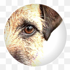 Krrs Training Home - Dog Emoji,Dog Emotion And Cognition
