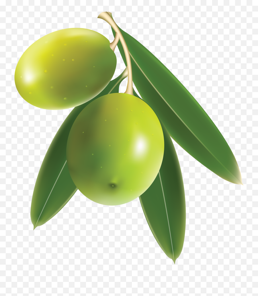 Olive Emoji,Olive Emoji