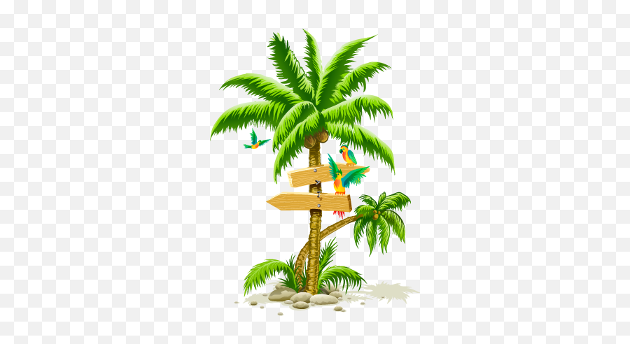 Palm Tree Png Image Cartoon Birds Beach - Beach Coconut Tree Png Emoji,Beach Emoji Transparent