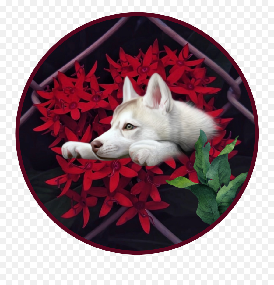 Dog Pet Husky Pup Circle Animal Sticker - Northern Breed Group Emoji,Husky Emoji