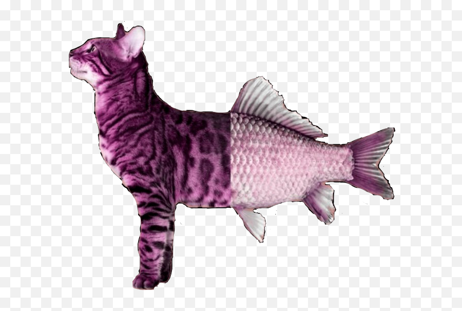 The Most Edited - Cat Standing Up Proudly Emoji,Cat Fish Emoji