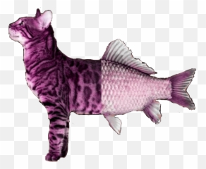 The Most Edited - Cat Standing Up Proudly Emoji,Cat Fish Emoji