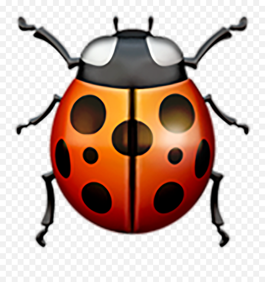 Lady Beetle Emoji Copy Paste - Ladybug Emoji Png,Dogs Humping Emojis