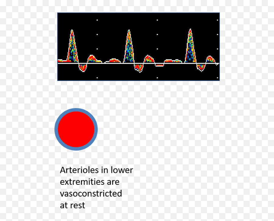 Print Lower Extremity Arteiral Flashcards Easy Notecards Emoji,Biphasic Model Of Emotion