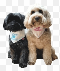 Memorabilia Mania Royal Wedding Is Big Business Emoji,Birthday Emoticons For Bassets