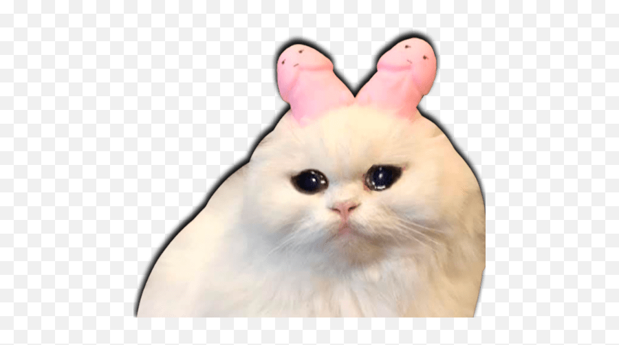 Gato Llorando Png Emoji,Yamero Emoji Gif