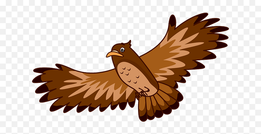 Free Hawk Clipart Download Free Hawk Clipart Png Images Emoji,Hawk Emojio