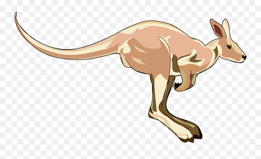 Free Kangaroo Australia Vectors - Kangaroo Clip Art Emoji,Kangaroo Emoji