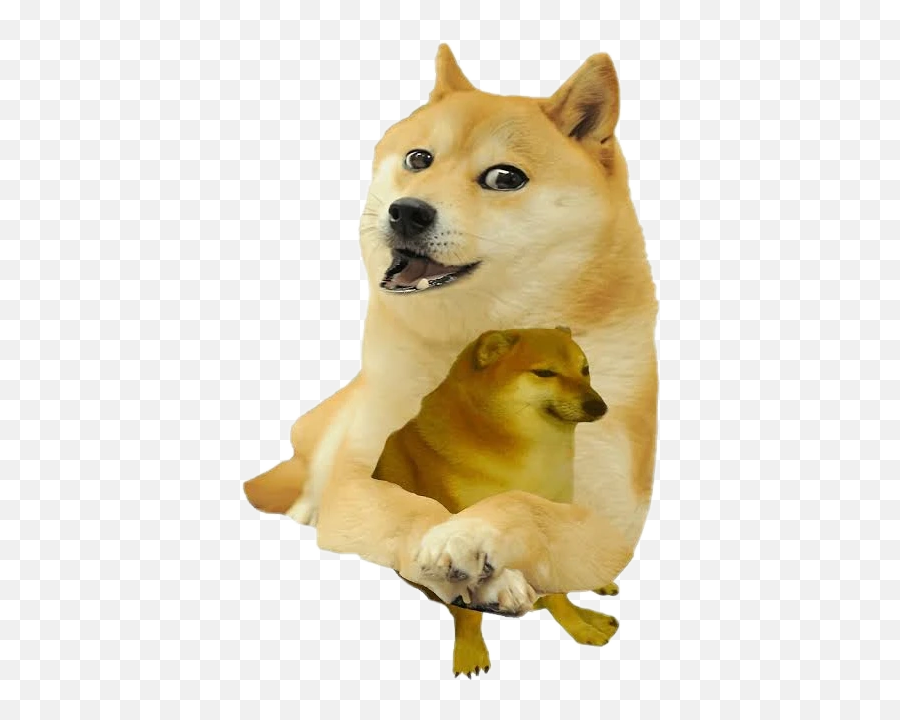 The Most Edited Memesespañol Picsart - Doge Cheems Emoji,Emoticon Sonbrilla Whatsapp