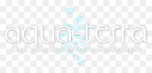 Aqua - Dot Emoji,Emoji Pond Florida